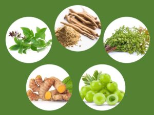 7 Ayurvedic Herbs for Holistic Wellness & Healing