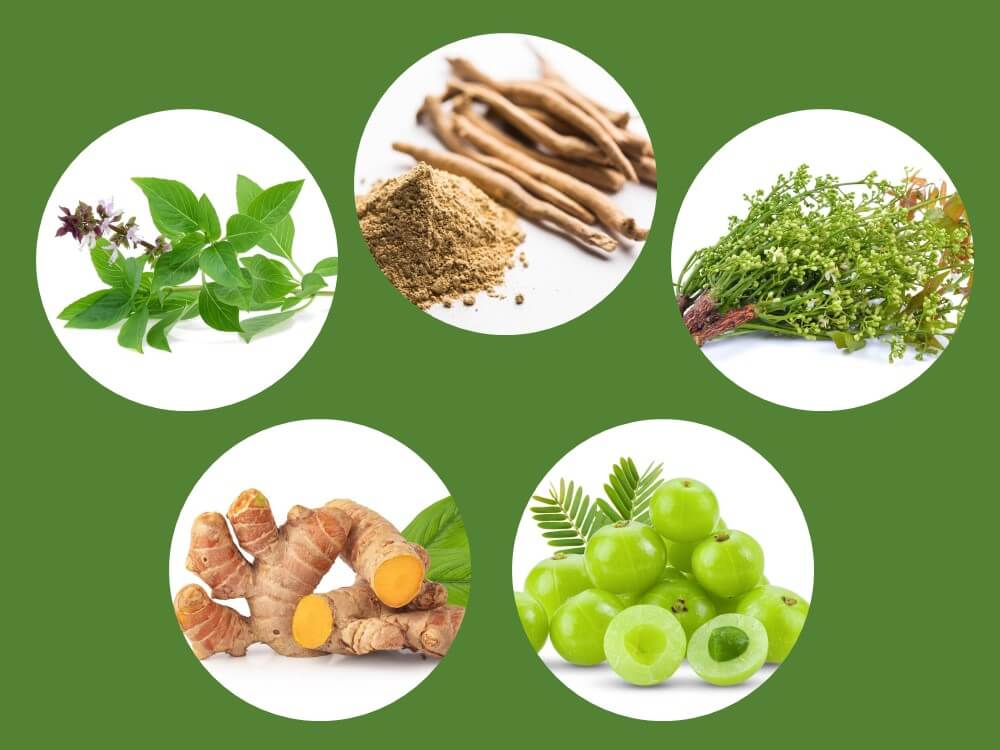 Ayurvedic herbs and spices for natural body detox arranged on wooden background