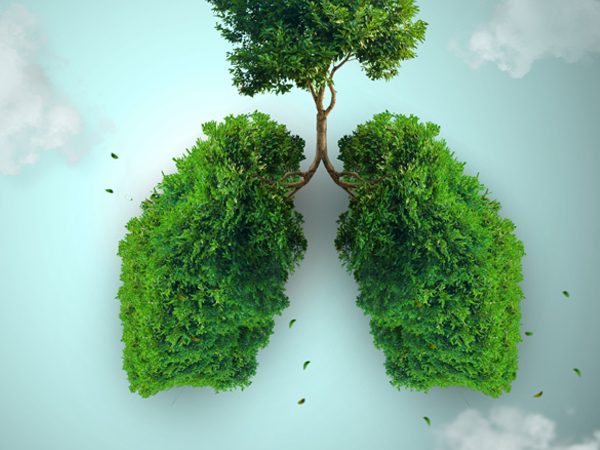 Natural remedies for stronger lungs